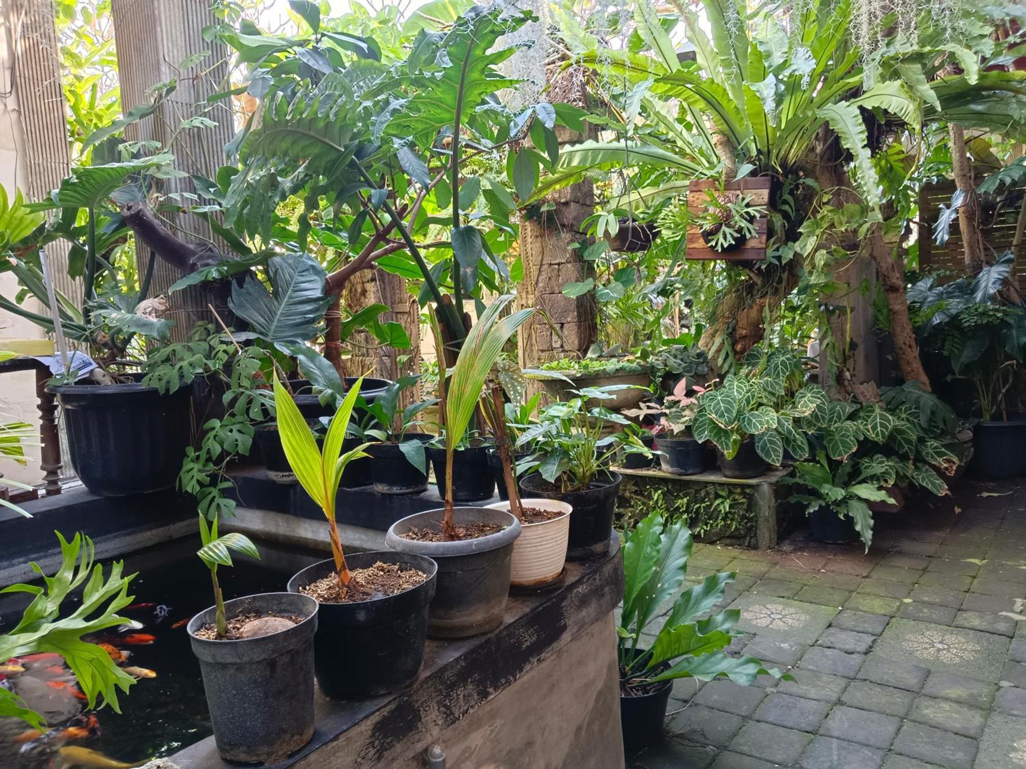 Double N Guesthouse Sanur Eksteriør billede