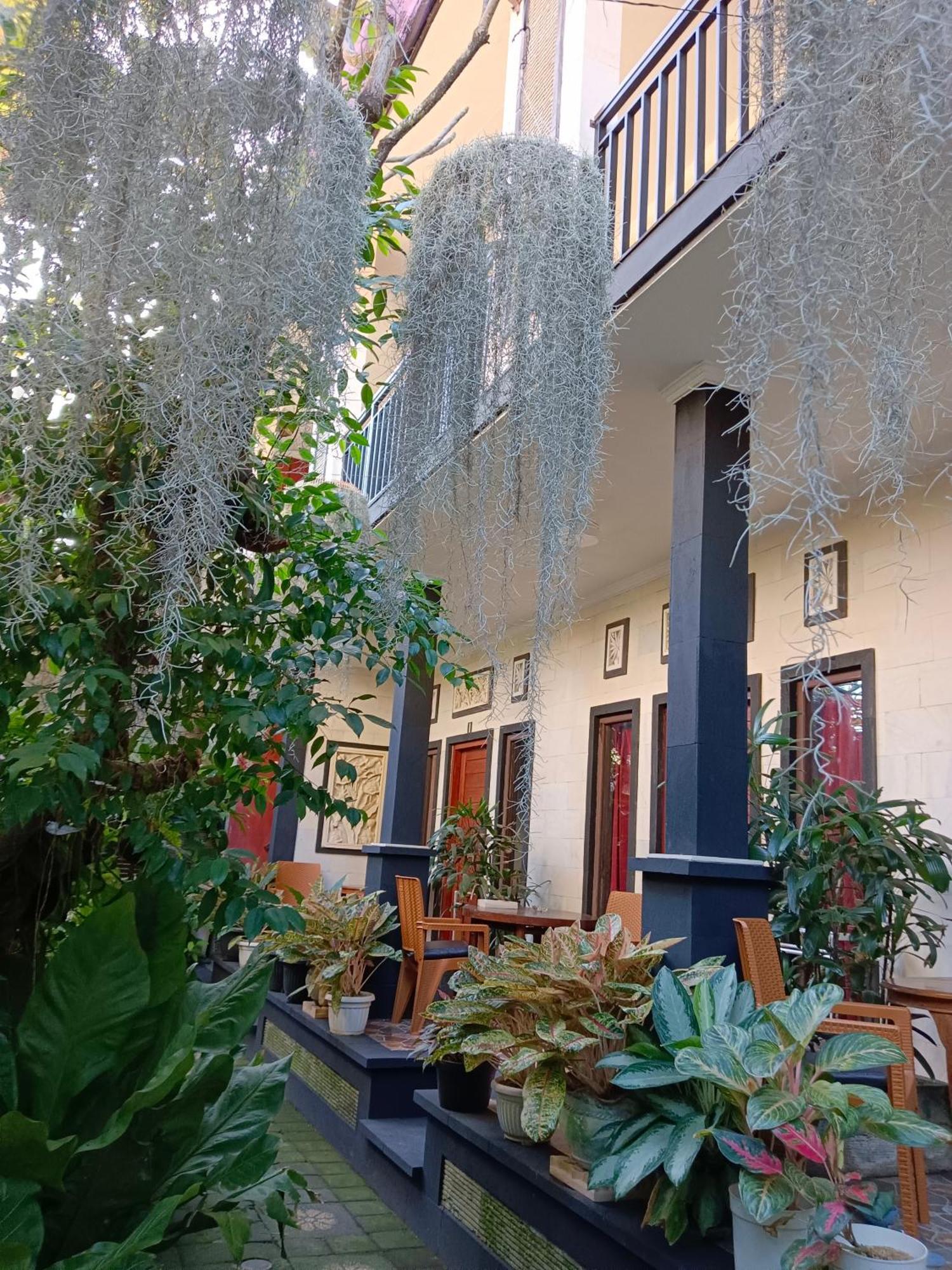 Double N Guesthouse Sanur Eksteriør billede